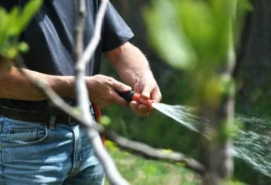 gardening watering