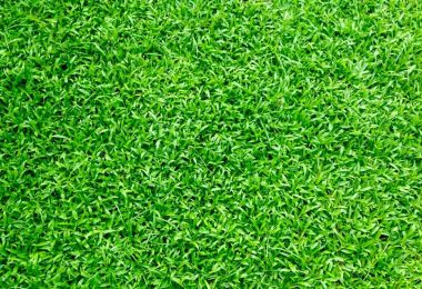 Artificial turf