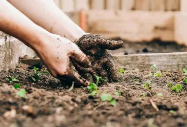 math and gardening
